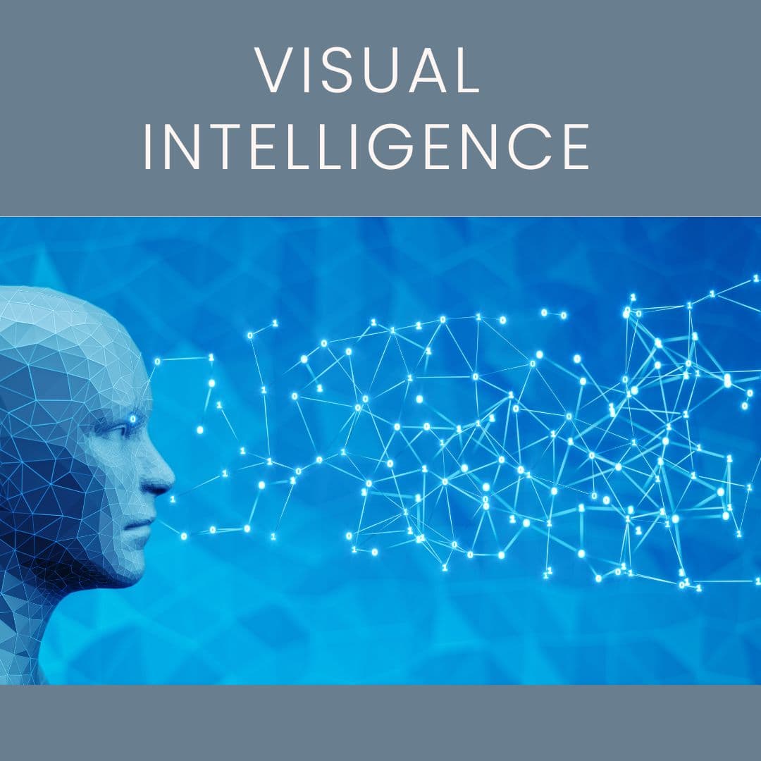 Visual Intelligence - Satellite imagery, maps, and AI-powered roof detection